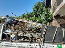 Best Foreclosure Cleanout  in Gleneagle, CO
